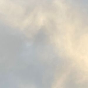 Meet your Posher, Deborah